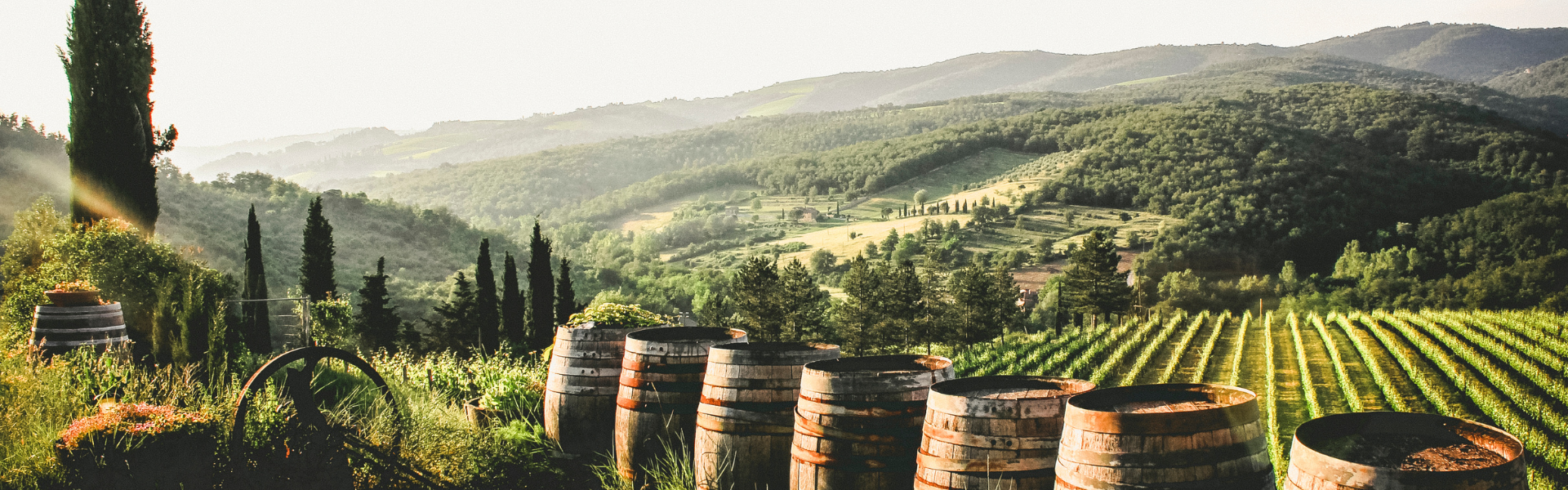 Das Beste aus Italiens Weinregionen
